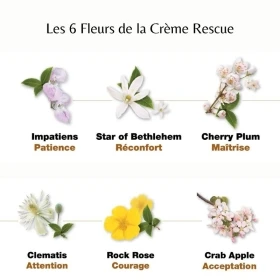 Bach - Crème Rescue 150 ml Bach Original Bach Original Nelsons 13 - mesfleursdebach.com 