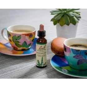 Agrimony fleurs de Bach Original 20 ml (Aigremoine) Bach Original Nelsons 8 - mesfleursdebach.com 