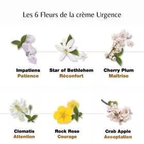 Healing Herbs - Crème d'urgence Rescue 450 ml en pot - Julian Barnard Healing Herbs 1 - mesfleursdebach.com 