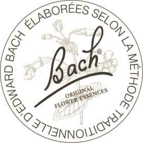 Rescue pastilles cassis Bach Original Bach Original Nelsons 4 - mesfleursdebach.com 