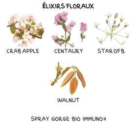 Spray gorge Bio Immuno4 50 ml aux fleurs de Bach Laboratoire Mint-e 4 - mesfleursdebach.com 