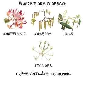 Crème Anti-Âge Cocooning Alchimy aux Fleurs de Bach et à l'acide hyaluronique Alchimy 10 - mesfleursdebach.com 