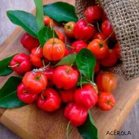 Crème Anti-Âge Cocooning Alchimy aux Fleurs de Bach et à l'acide hyaluronique Alchimy 9 - mesfleursdebach.com 