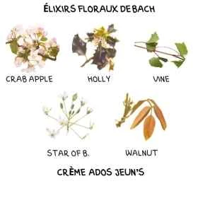 Crème Ados Jeun's Alchimy Aux Fleurs de Bach et Huiles Essentielles Alchimy 9 - mesfleursdebach.com 