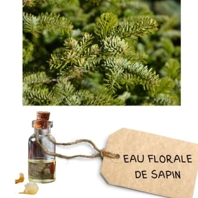 Spray gorge Bio Immuno4 50 ml aux fleurs de Bach Laboratoire Mint-e 6 - mesfleursdebach.com 