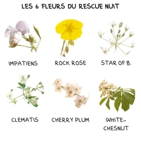 Bach - Rescue nuit sans alcool spray 20 ml Bach Original Bach Original Nelsons 3 - mesfleursdebach.com 