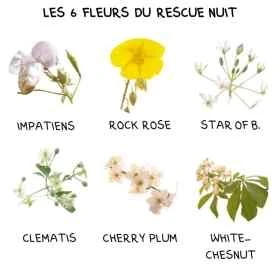 FDA Urgence Rescue Nuit 10 ml - compte-gouttes sans alcool Les Fleurs de l'Atlas 1 - mesfleursdebach.com 