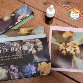 Grandes cartes des 38 fleurs de Bach Mechthild Scheffer 18*18cm Mes Fleurs de BACH 1 - mesfleursdebach.com 