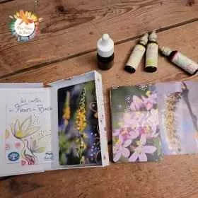 Coffret de 38 cartes Fleurs de Bach par Lucilla Satanassi - 14.5*9cm Mes Fleurs de BACH 1 - mesfleursdebach.com 