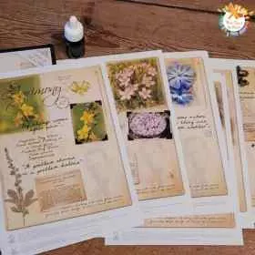 Très grandes cartes A4 des 38 fleurs de Bach Mes Fleurs de BACH 1 - mesfleursdebach.com 