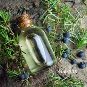 Z Power Concentré 50 ml aux fleurs de Bach Laboratoire Mint-e 10 - mesfleursdebach.com 