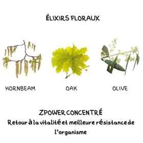 Z Power Concentré 50 ml aux fleurs de Bach Laboratoire Mint-e 4 - mesfleursdebach.com 
