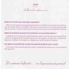Grandes cartes des 38 fleurs de Bach Mechthild Scheffer 18*18cm Mes Fleurs de BACH 8 - mesfleursdebach.com 