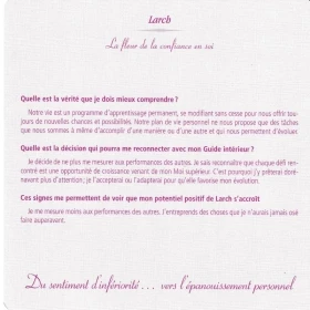 Grandes cartes des 38 fleurs de Bach Mechthild Scheffer 18*18cm Mes Fleurs de BACH 8 - mesfleursdebach.com 