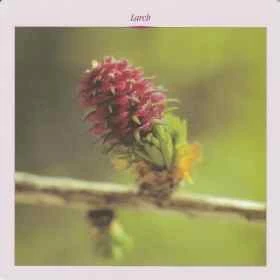 Grandes cartes des 38 fleurs de Bach Mechthild Scheffer 18*18cm Mes Fleurs de BACH 7 - mesfleursdebach.com 