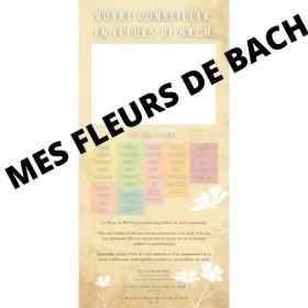 50 flyers professionnels Fleurs de Bach: rajoutez votre tampon!! Mes Fleurs de BACH 1 - mesfleursdebach.com 