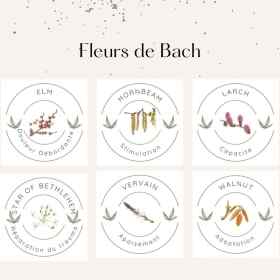 Crème ARTICUL'R Alchimy Aux Fleurs de Bach et Huiles Essentielles Alchimy 14 - mesfleursdebach.com 