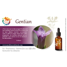 Gentian Deva 15 ml (Gentiane) Deva 3 - mesfleursdebach.com 