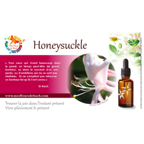 Honeysuckle Deva 15 ml (Chèvrefeuille) Deva 3 - mesfleursdebach.com 