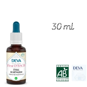 Star of Bethlehem Deva 30 ml (Étoile de Bethléem) Deva 1 - mesfleursdebach.com 