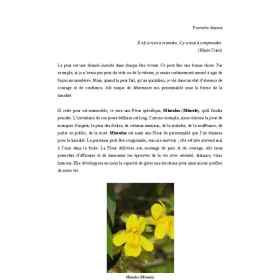 La vie à pleines Fleurs de Jean-Michel Piquemal Mes Fleurs de BACH 5 - mesfleursdebach.com 