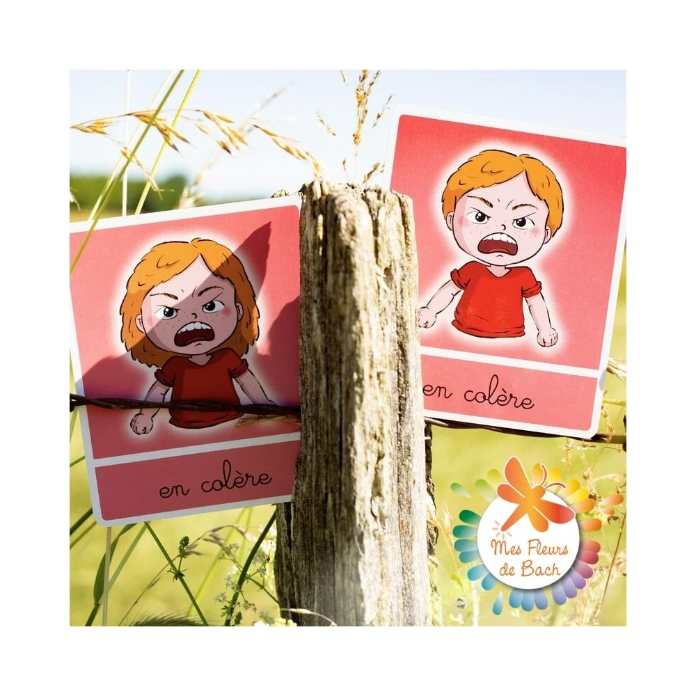 Cartes des émotions pour les enfants - 11.3*9.3cm Mes Fleurs de BACH 4 - mesfleursdebach.com Cartes des émotions pour les enfants - 11.3*9.3cm Mes Fleurs de BACH 4 - mesfleursdebach.com