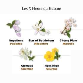 Rescue Capsules - Harmonie et positivité Bach Original Bach Original Nelsons 8 - mesfleursdebach.com 