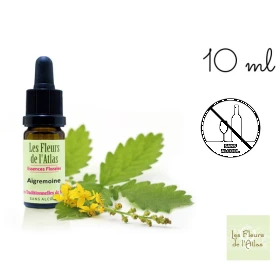 Agrimony Fleurs de l'Atlas 10 ml (Aigremoine) Les Fleurs de l'Atlas 1 - mesfleursdebach.com 