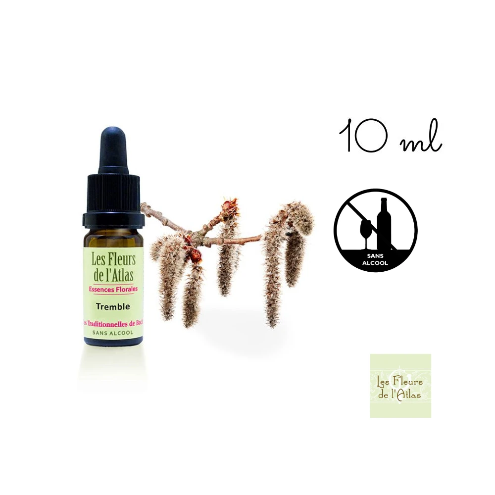 Aspen Fleurs de Bach sans alcool - Fleurs de l'Atlas 10 ml (Tremble) Fleurs de l'Atlas - Sans alcool 1 - mesfleursdebach.com 