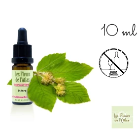 Beech Fleurs de l'Atlas 10 ml (Hêtre) Les Fleurs de l'Atlas 1 - mesfleursdebach.com 