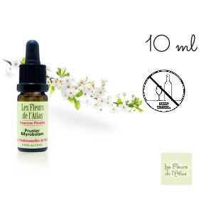 Cherry Plum Fleurs de l'Atlas 10 ml (Prunier Myrobolan) Les Fleurs de l'Atlas 1 - mesfleursdebach.com 