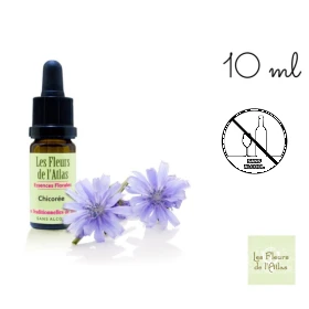 Chicory Fleurs de l'Atlas 10 ml (Chicorée) Les Fleurs de l'Atlas 1 - mesfleursdebach.com 