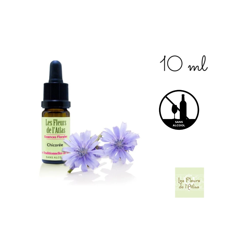 Chicory Fleurs de l'Atlas 10 ml (Chicorée) Fleurs de l'Atlas - Sans alcool 1 - mesfleursdebach.com Chicory Fleurs de l'Atlas 10 ml (Chicorée) Fleurs de l'Atlas - Sans alcool 1 - mesfleursdebach.com