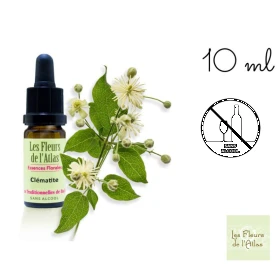 Clematis Fleurs de l'Atlas 10 ml (Clématite) Les Fleurs de l'Atlas 1 - mesfleursdebach.com 