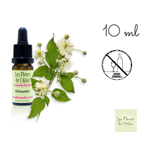 Clematis Fleurs de l'Atlas 10 ml (Clématite) Les Fleurs de l'Atlas 1 - mesfleursdebach.com 