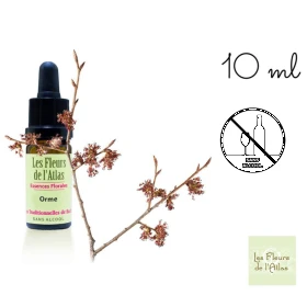 Elm Fleurs de l'Atlas 10 ml (Orme) Les Fleurs de l'Atlas 1 - mesfleursdebach.com 