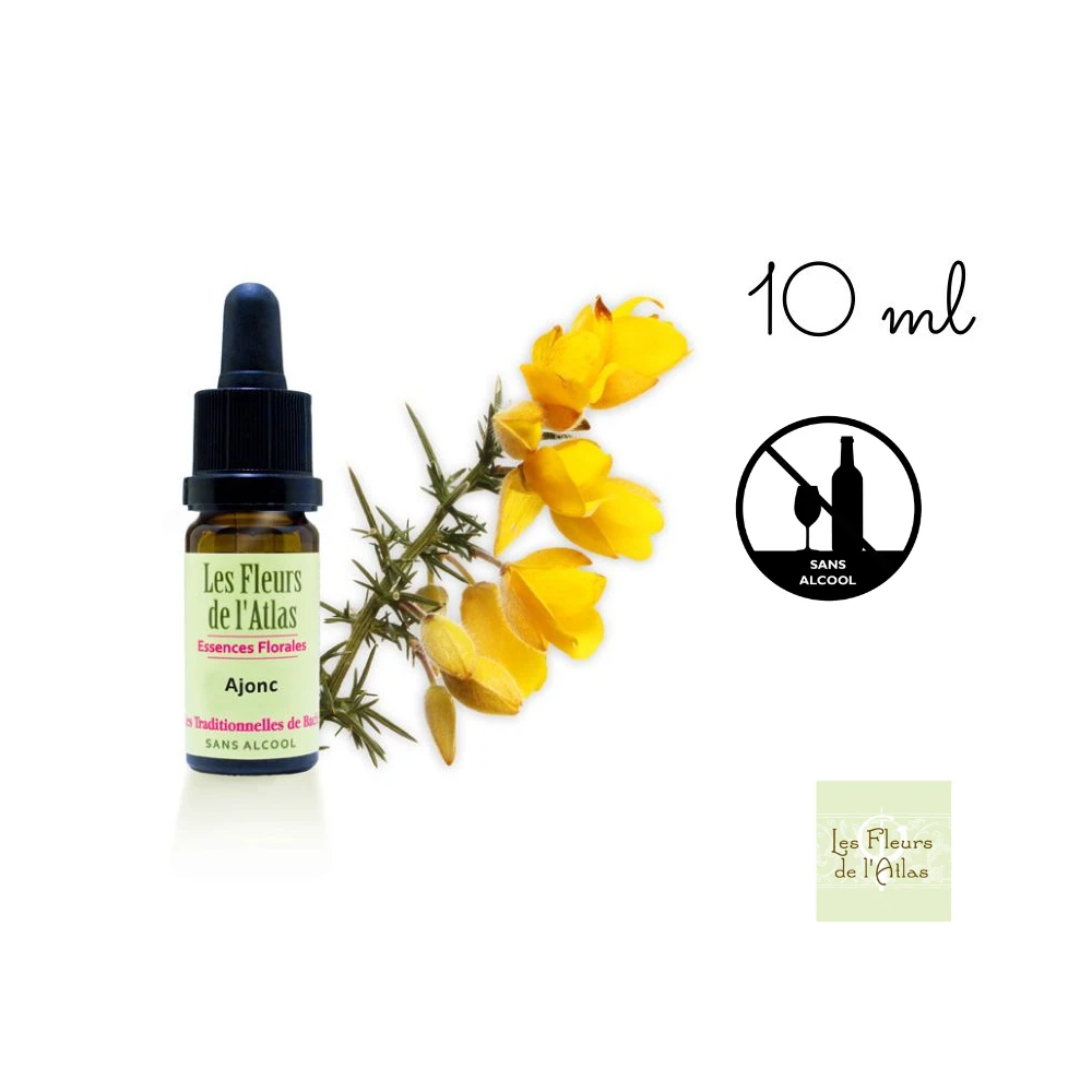 Gorse Fleurs de l'Atlas 10 ml (Ajonc) Fleurs de l'Atlas - Sans alcool 1 - mesfleursdebach.com Gorse Fleurs de l'Atlas 10 ml (Ajonc) Fleurs de l'Atlas - Sans alcool 1 - mesfleursdebach.com