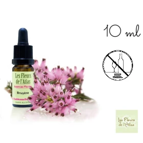 Heather Fleurs de l'Atlas 10 ml (Bruyère) Les Fleurs de l'Atlas 1 - mesfleursdebach.com 