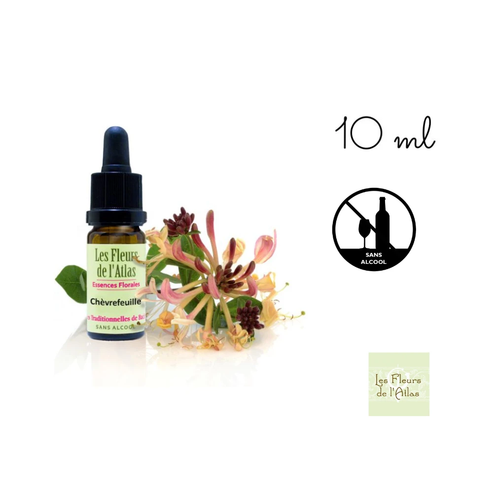Honeysuckle Fleurs de l'Atlas 10 ml (Chèvrefeuille) Fleurs de l'Atlas - Sans alcool 1 - mesfleursdebach.com Honeysuckle Fleurs de l'Atlas 10 ml (Chèvrefeuille) Fleurs de l'Atlas - Sans alcool 1 - mesfleursdebach.com