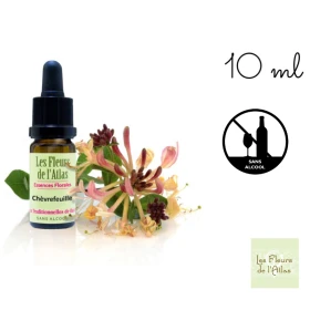Honeysuckle Fleurs de l'Atlas 10 ml (Chèvrefeuille) Fleurs de l'Atlas - Sans alcool 1 - mesfleursdebach.com 
