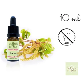 Hornbeam Fleurs de l'Atlas 10 ml (Charme) Les Fleurs de l'Atlas 1 - mesfleursdebach.com 