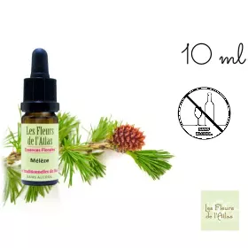 Larch Fleurs de l'Atlas 10 ml (Mélèze) Les Fleurs de l'Atlas 1 - mesfleursdebach.com 