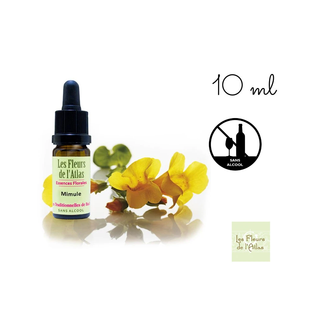 Mimulus Fleurs de l'Atlas 10 ml (Mimule) Fleurs de l'Atlas - Sans alcool 1 - mesfleursdebach.com 
