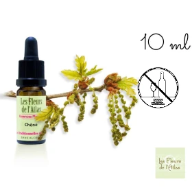 Oak Fleurs de l'Atlas 10 ml (Chêne) Les Fleurs de l'Atlas 1 - mesfleursdebach.com 