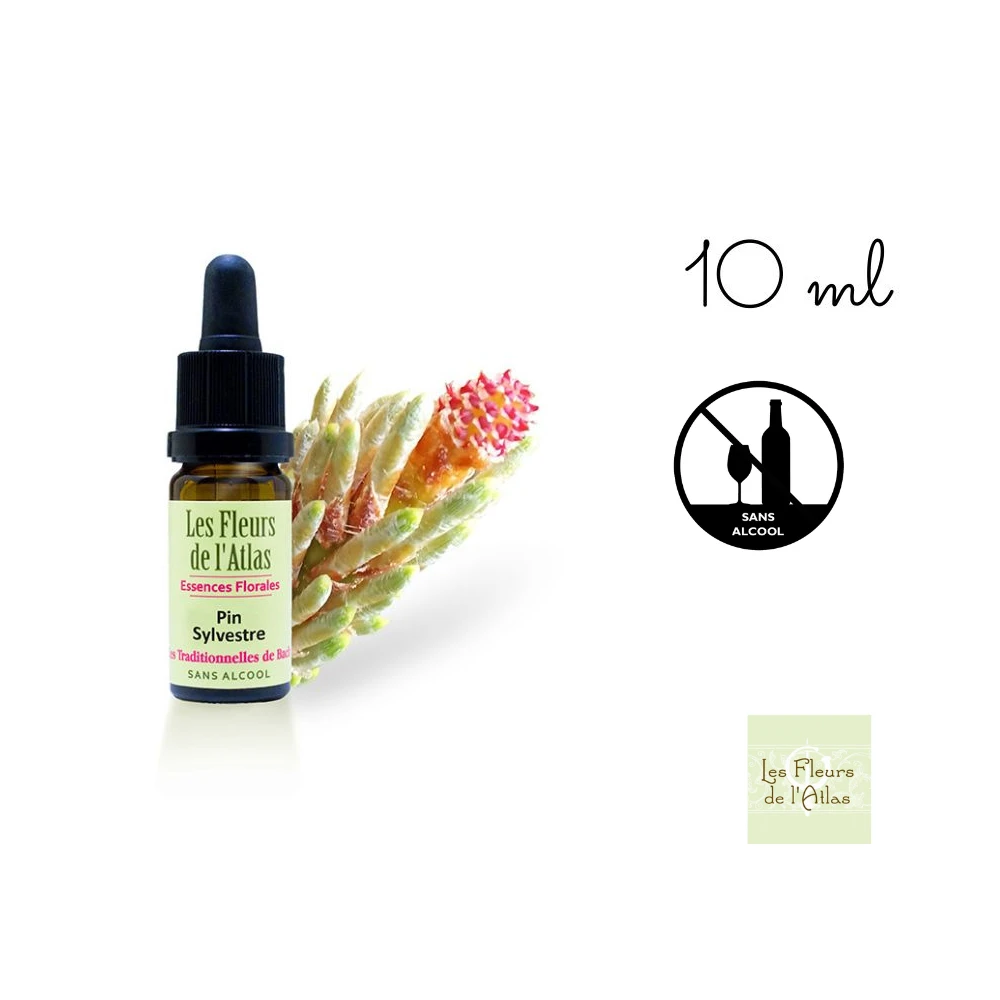 Pine Fleurs de Bach sans alcool - Fleurs de l'Atlas 10 ml (Pin Sylvestre) Fleurs de l'Atlas - Sans alcool 1 - mesfleursdebach.co Pine Fleurs de Bach sans alcool - Fleurs de l'Atlas 10 ml (Pin Sylvestre) Fleurs de l'Atlas - Sans alcool 1 - mesfleursdebach.co