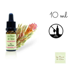 Pine Fleurs de Bach sans alcool - Fleurs de l'Atlas 10 ml (Pin Sylvestre) Fleurs de l'Atlas - Sans alcool 1 - mesfleursdebach.co