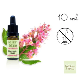 Red Chestnut Fleurs de l'Atlas 10 ml (Marronnier Rouge) Les Fleurs de l'Atlas 1 - mesfleursdebach.com 