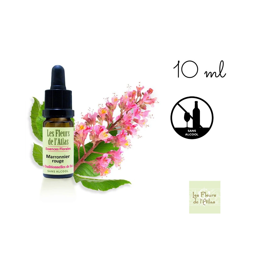 Red Chestnut Fleurs de Bach sans alcool - Fleurs de l'Atlas 10 ml (Marronnier Rouge) Fleurs de l'Atlas - Sans alcool 1 - mesfleu Red Chestnut Fleurs de Bach sans alcool - Fleurs de l'Atlas 10 ml (Marronnier Rouge) Fleurs de l'Atlas - Sans alcool 1 - mesfleu