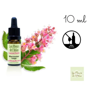 Red Chestnut Fleurs de Bach sans alcool - Fleurs de l'Atlas 10 ml (Marronnier Rouge) Fleurs de l'Atlas - Sans alcool 1 - mesfleu