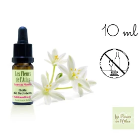 Star of Bethlehem Fleurs de l'Atlas 10 ml (Étoile de Bethléem) Les Fleurs de l'Atlas 1 - mesfleursdebach.com 